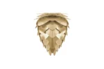 UMAGE CONIA Willow Wall Lamp - Image 5